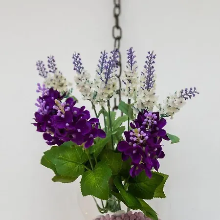 Apartamento Bagi In Old Town Center