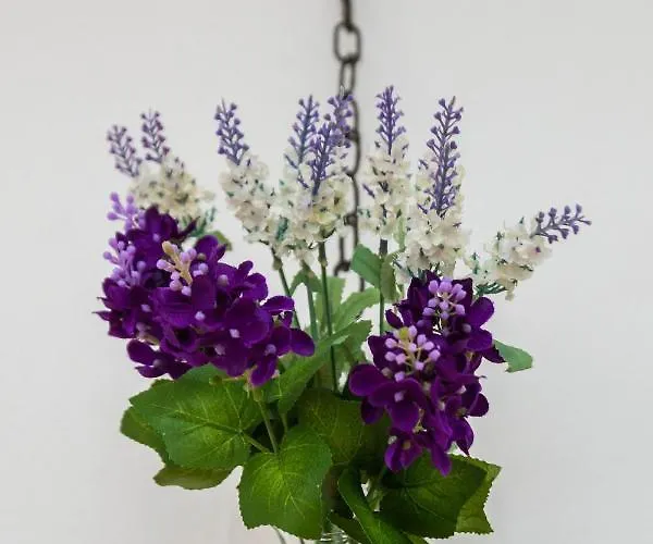 Apartment Bagi Apartment In Old Town Center